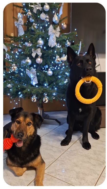 Návrh bez názvu - 2025-10-30T173751.417